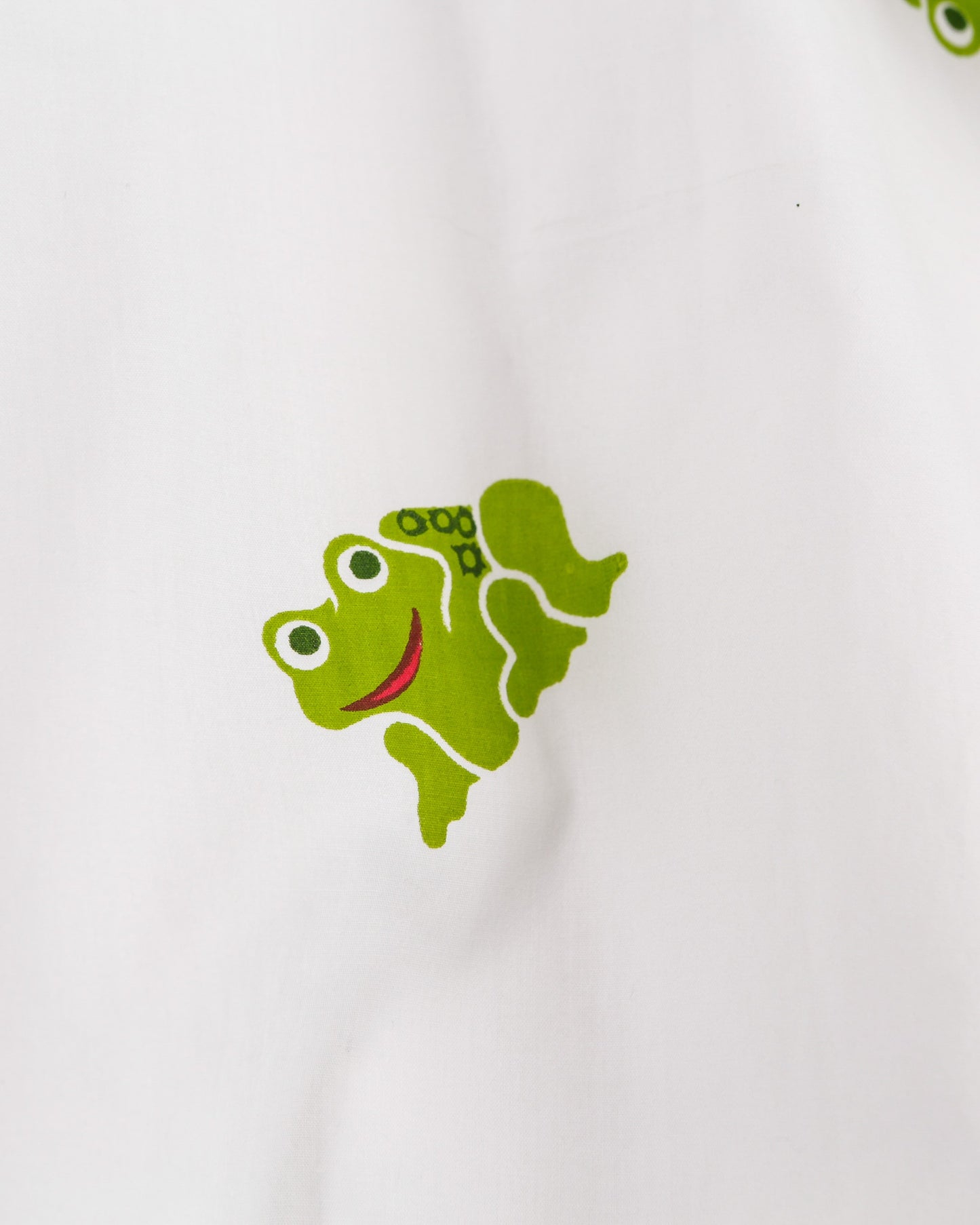 Long Sleeve Pajama Set In Green Frog Print