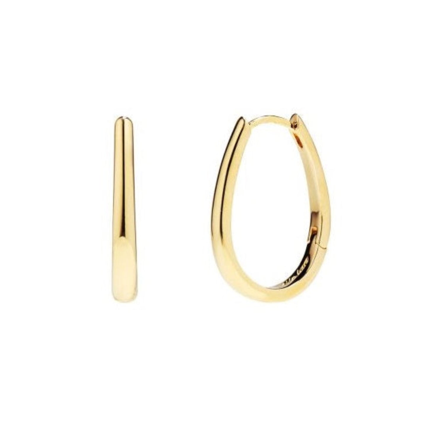 Delicate gold hoop earrings